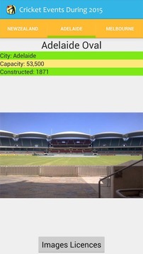 Cricket Events During 2015游戲截圖3