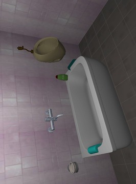 清洁厕所 (Clean The Toilet)游戏截图2