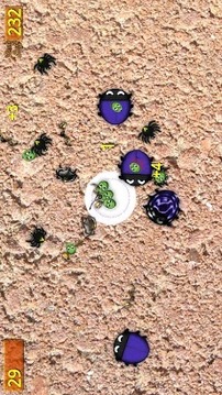 殺死害蟲游戲截圖2