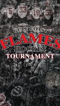 Gulf Coast Flames Tournament游戲截圖1