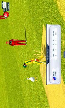 Cricket Ultimate游戲截圖4