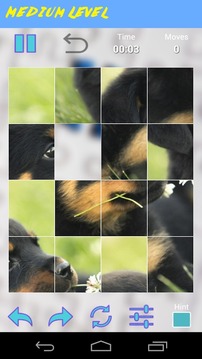 Puppies Jigsaw Puzzles游戲截圖4