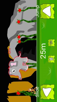 Animals Run Games游戲截圖2