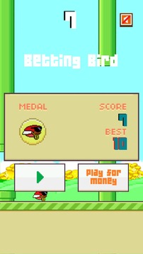 Betting Bird游戲截圖4