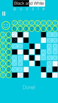 Black and White puzzle游戲截圖5