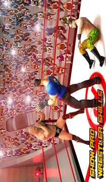 World Ring Wrestling Revolution Mania: Bad Blood游戲截圖2