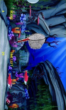 Catch the fishes游戲截圖4