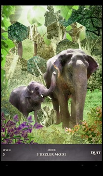 PuzzleSwap - Animal Kingdom游戲截圖4