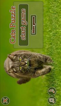 Cats Puzzle游戲截圖1