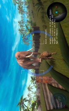Wild Leopard Simulator 3D游戲截圖4