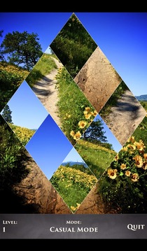 PuzzleSwap - Along the Trail游戲截圖3