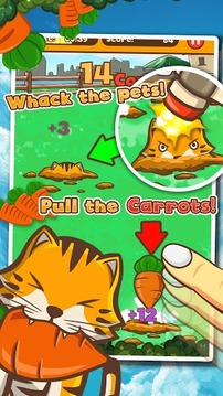 Pet Maniac Carrot Rush游戏截图4