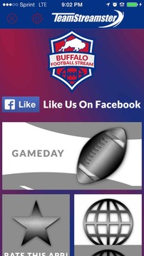Buffalo Football STREAM游戲截圖1