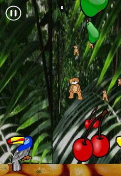 Fruit Toucan Jungle游戲截圖4