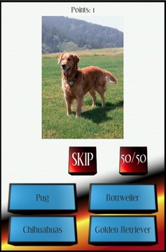 Dog Breed Picture Quiz游戲截圖4