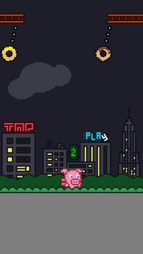 Clumsy Pig游戲截圖1