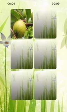 Guava Matching游戲截圖1