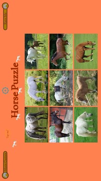 Horse Puzzle For Kids游戲截圖5