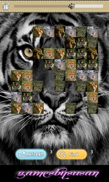 Big Cats Match游戲截圖3