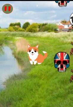 Willie The Welsh Corgi游戲截圖4