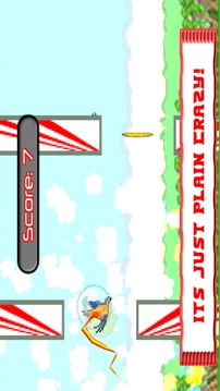 Animal Run: Flapping Frenzy!游戲截圖2
