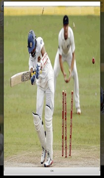 Cricket Games游戲截圖2