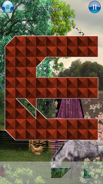 Hidden Pieces: Country Living游戲截圖4