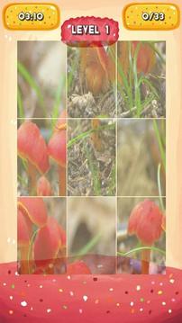 Mushrooms Jigsaw Puzzles游戏截图3