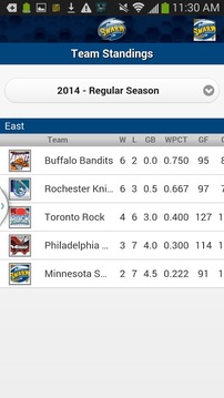 Minnesota Swarm Lacrosse游戲截圖4