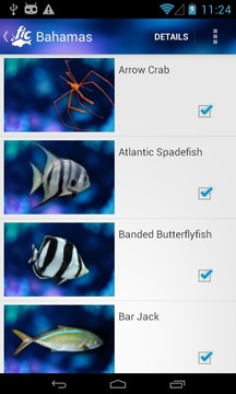 Scuba FIC游戲截圖2
