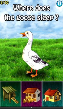 Smart KID - Animals游戲截圖4