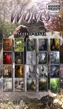 Hidden Object - Wolves Free游戲截圖3