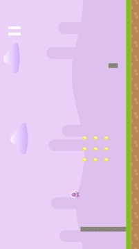 Blockland Runner游戲截圖2