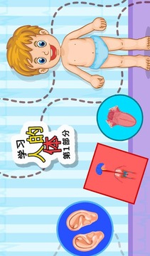 學習人體部分1V1.0.0游戲截圖1