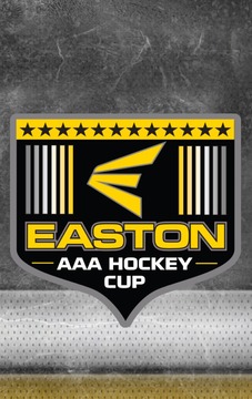 Easton Cup Tournament App游戲截圖1