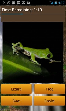 Animal Guess游戲截圖1