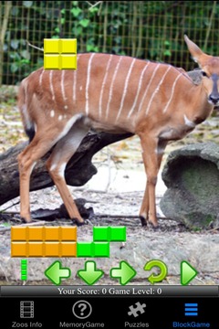 Zoo Animals Story游戲截圖4