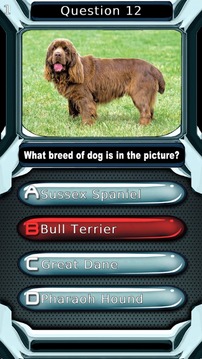 Dog Quiz游戲截圖2