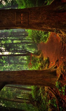 Fear Forest Escape游戲截圖1