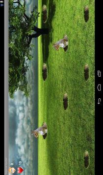 Squirrel Hunter Game游戲截圖3