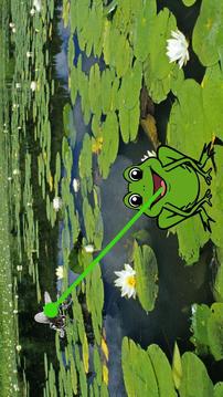 Feed Frog – animals for kids游戲截圖1