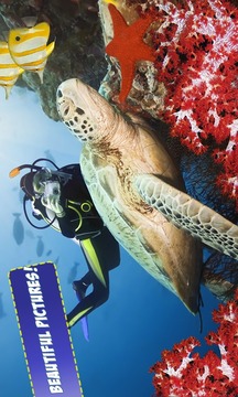 Free Coral Reef Jigsaw Puzzles游戲截圖2