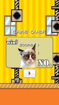 Flap Grumpy Cat游戲截圖4