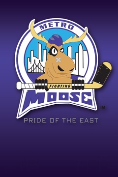 Metro Moose游戲截圖2