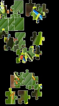 Frog Jigsaw Puzzles游戲截圖2