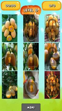 Marian plum Jigsaw Puzzles游戲截圖2
