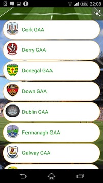 GAA 32 Counties游戲截圖5