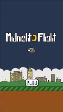 Midnight Flight游戲截圖1