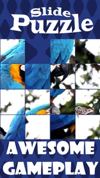 Slide Puzzle Quest游戲截圖3