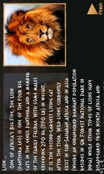 PuzzBox Africa Picture Puzzle游戲截圖1